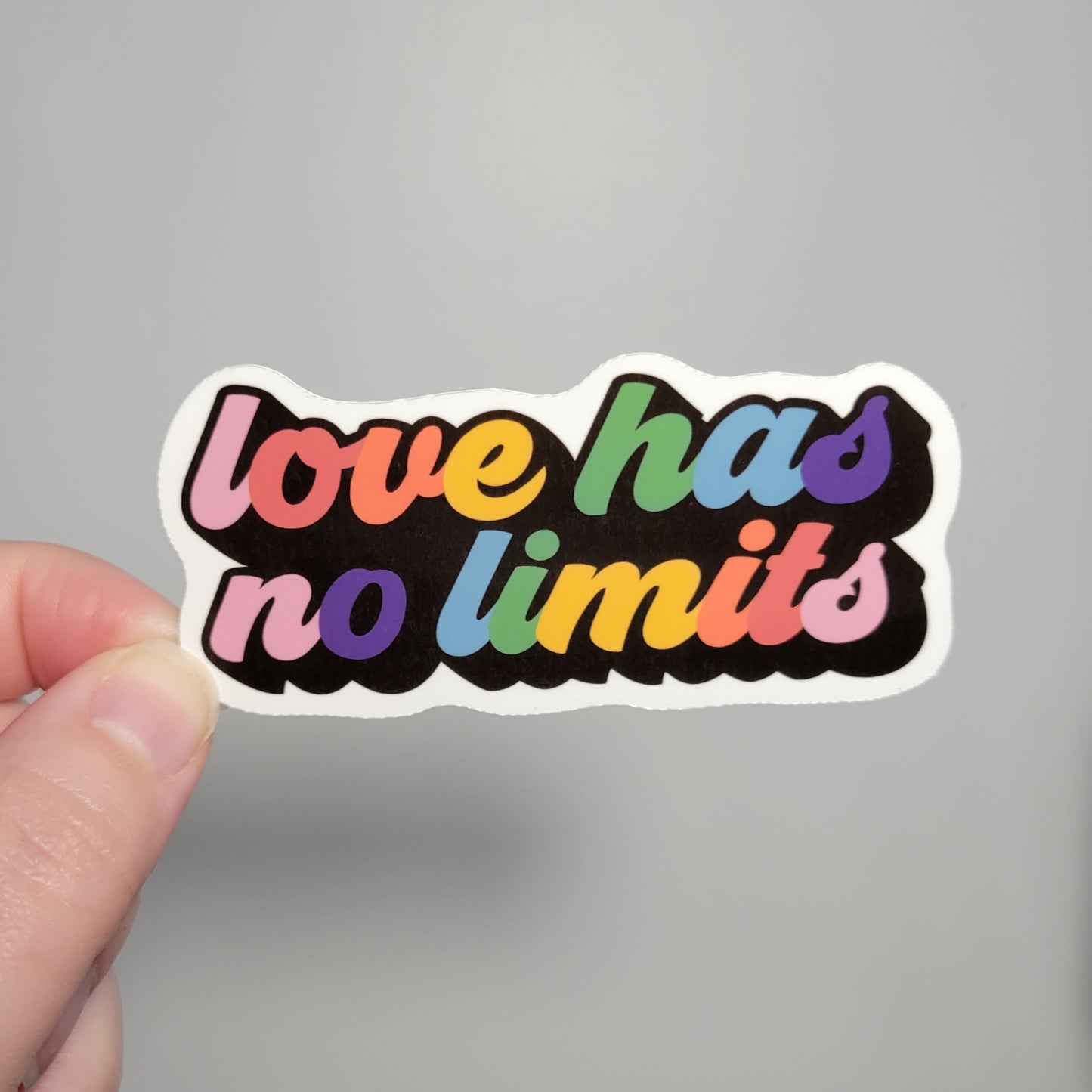 Love has no Limits LGBTQ+ Sticker